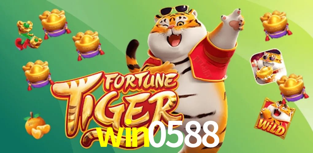 Experiência VIP win0588